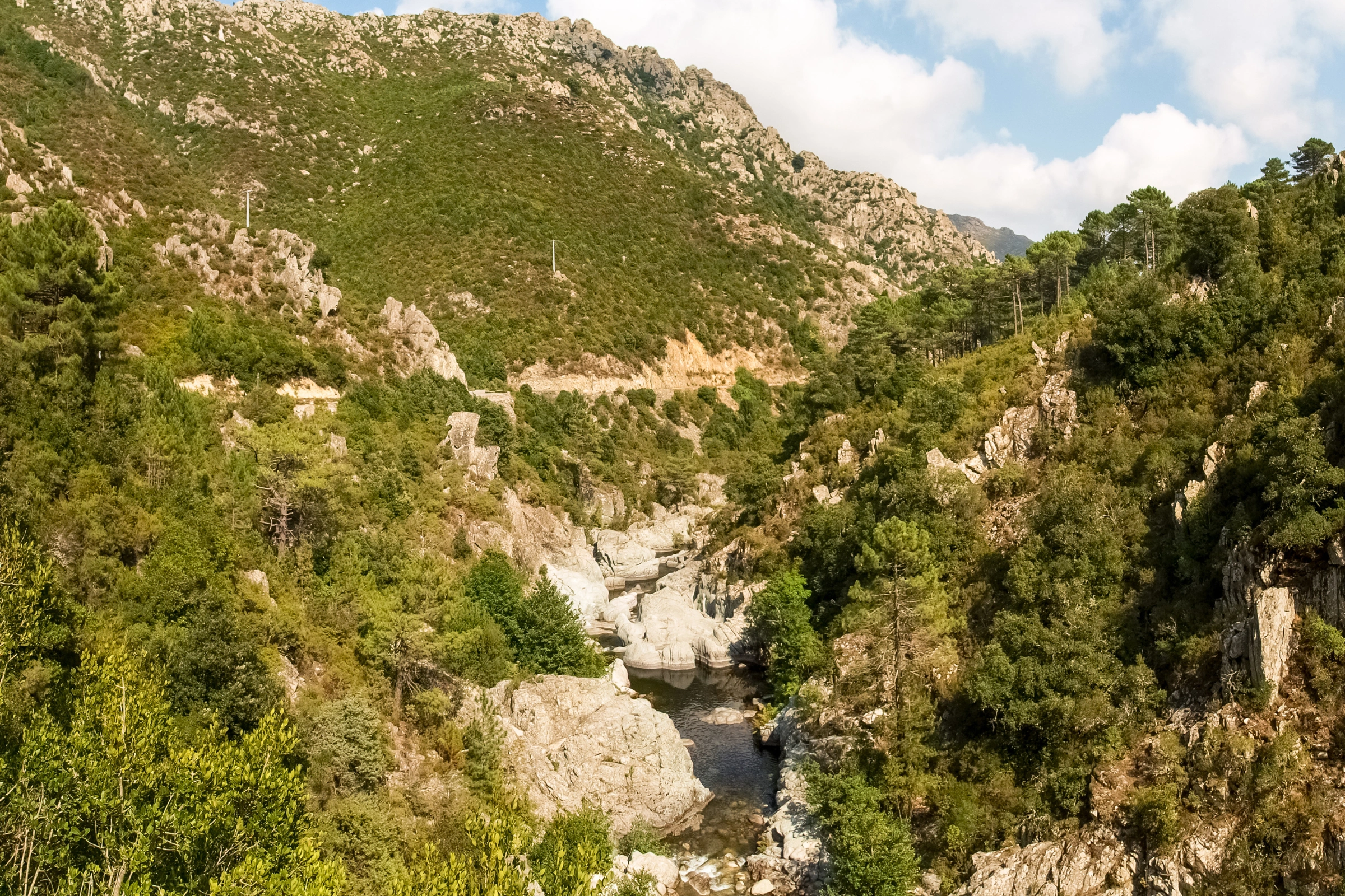 48_Col_de_Verde[1].webp